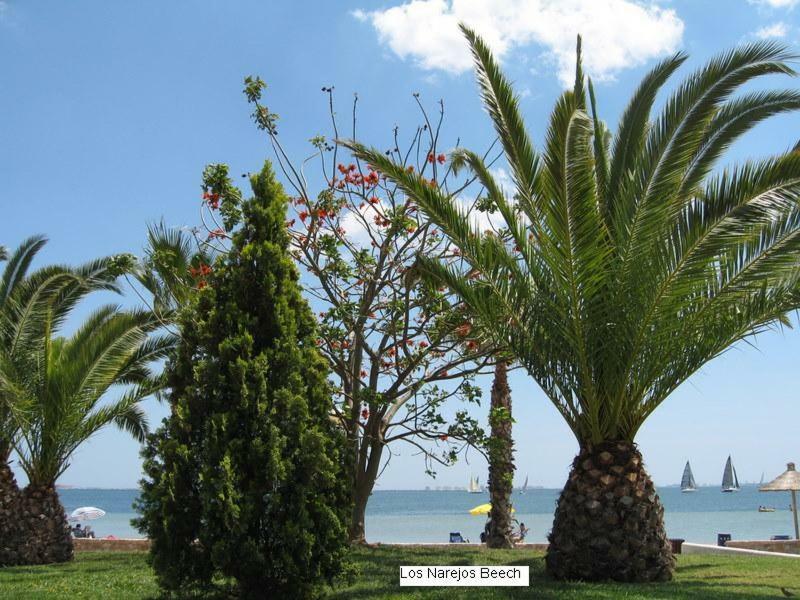 Beautiful 1 Bedroom Apartment In Roda, Los Alcazares. Larger Than Average. Kültér fotó